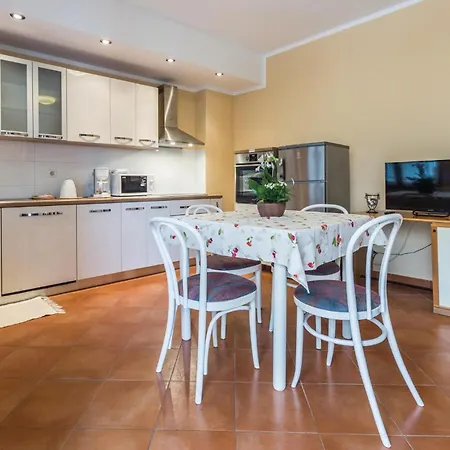 Apartment Gorgeous In With Kitchen
